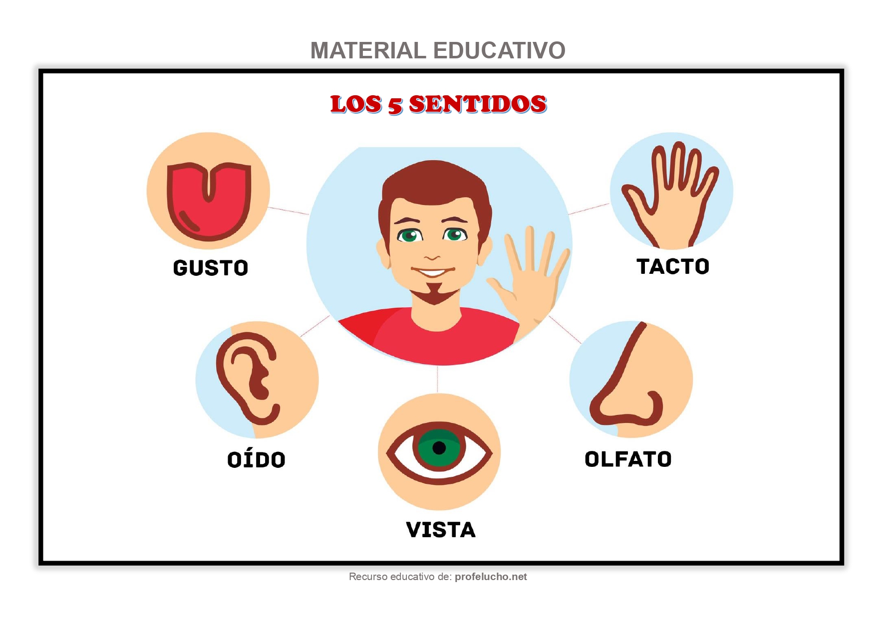  ProfeLucho.net 