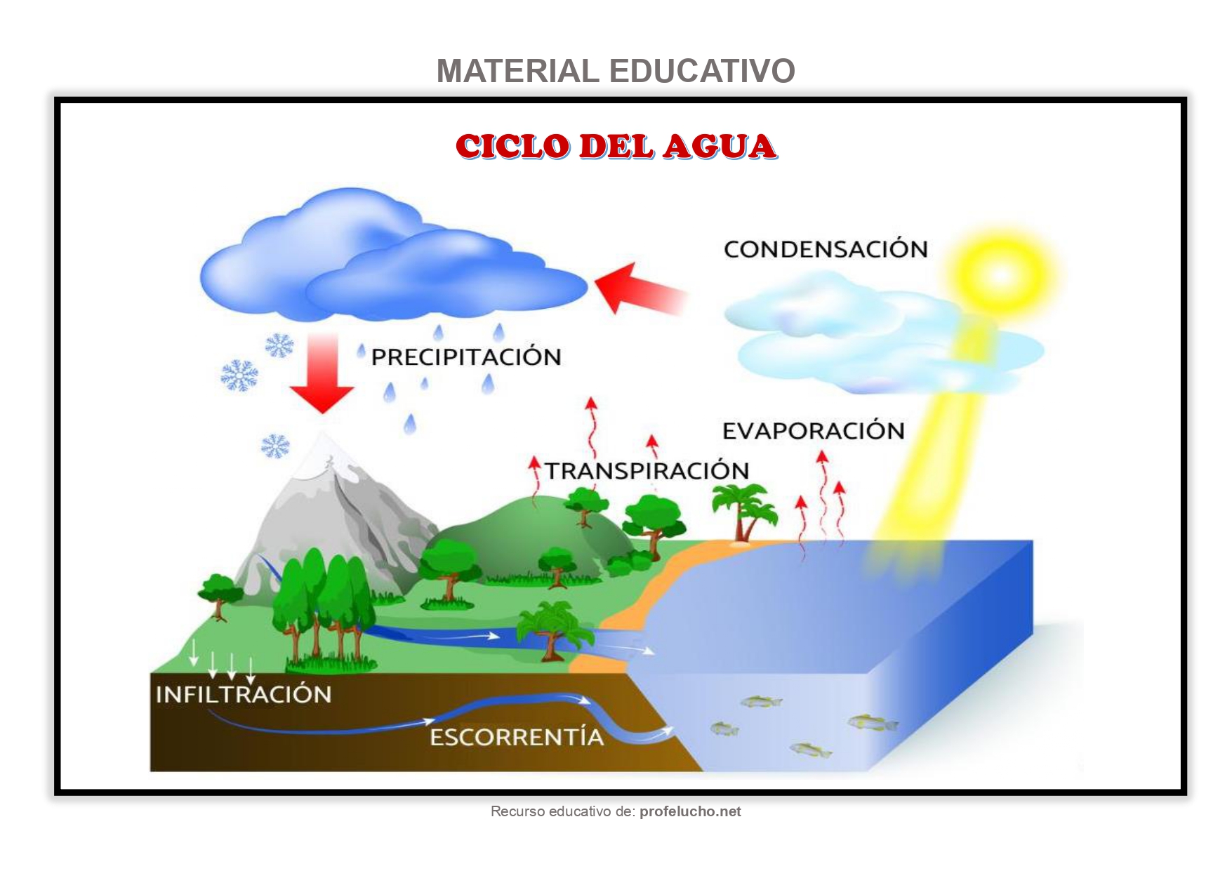  ProfeLucho.net 