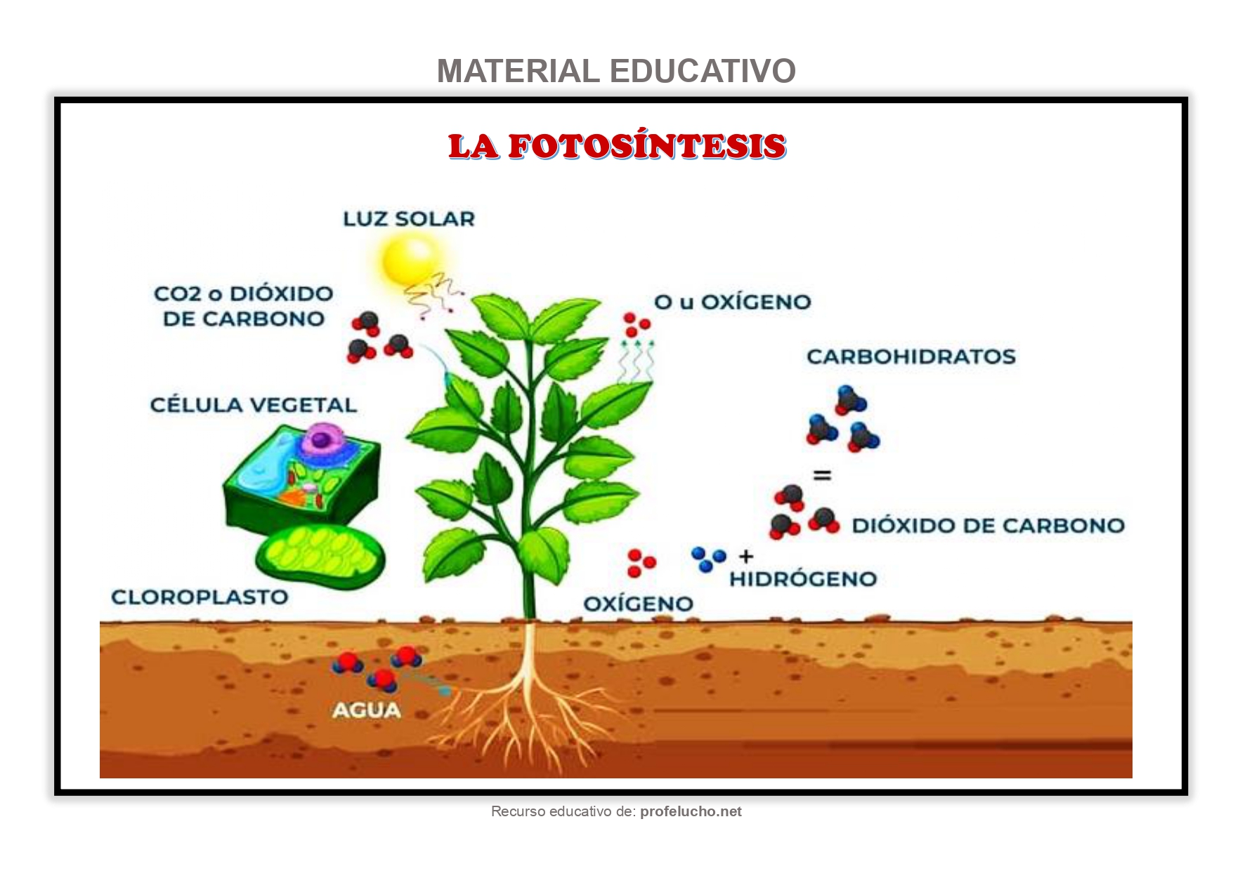  ProfeLucho.net 